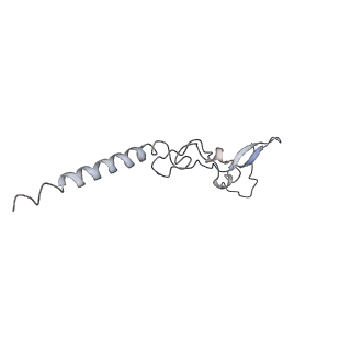 20256_6p5j_Ag_v1-5
Structure of a mammalian 80S ribosome in complex with the Israeli Acute Paralysis Virus IRES (Class 2)