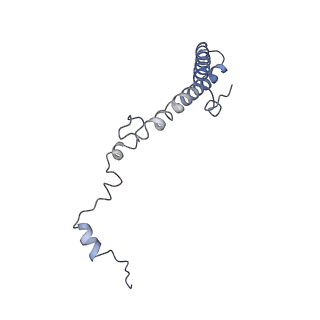 20256_6p5j_Ah_v1-5
Structure of a mammalian 80S ribosome in complex with the Israeli Acute Paralysis Virus IRES (Class 2)