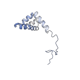 20256_6p5j_Ai_v1-4
Structure of a mammalian 80S ribosome in complex with the Israeli Acute Paralysis Virus IRES (Class 2)