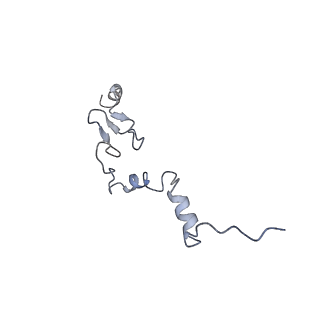 20256_6p5j_Aj_v1-5
Structure of a mammalian 80S ribosome in complex with the Israeli Acute Paralysis Virus IRES (Class 2)