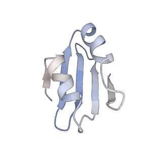 20256_6p5j_Ak_v1-4
Structure of a mammalian 80S ribosome in complex with the Israeli Acute Paralysis Virus IRES (Class 2)