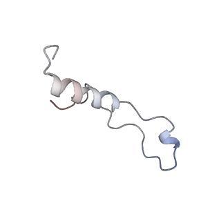 20256_6p5j_Al_v1-4
Structure of a mammalian 80S ribosome in complex with the Israeli Acute Paralysis Virus IRES (Class 2)
