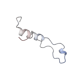 20256_6p5j_Al_v1-5
Structure of a mammalian 80S ribosome in complex with the Israeli Acute Paralysis Virus IRES (Class 2)