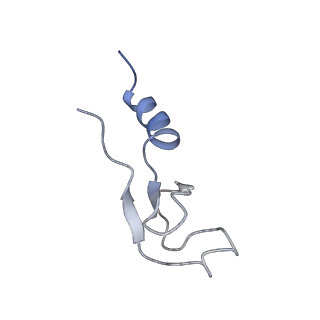 20256_6p5j_Am_v1-5
Structure of a mammalian 80S ribosome in complex with the Israeli Acute Paralysis Virus IRES (Class 2)