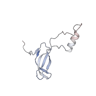 20256_6p5j_Ao_v1-4
Structure of a mammalian 80S ribosome in complex with the Israeli Acute Paralysis Virus IRES (Class 2)