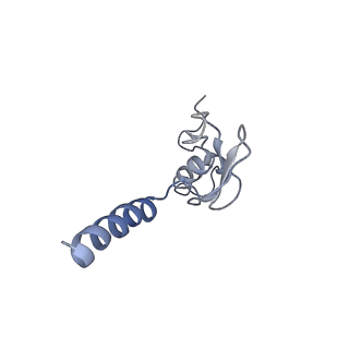 20256_6p5j_Ap_v1-5
Structure of a mammalian 80S ribosome in complex with the Israeli Acute Paralysis Virus IRES (Class 2)