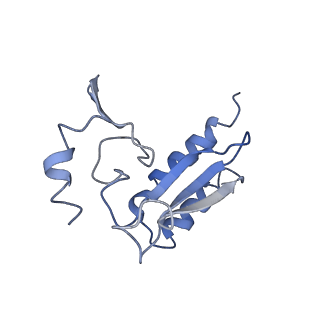 20256_6p5j_Ar_v1-5
Structure of a mammalian 80S ribosome in complex with the Israeli Acute Paralysis Virus IRES (Class 2)