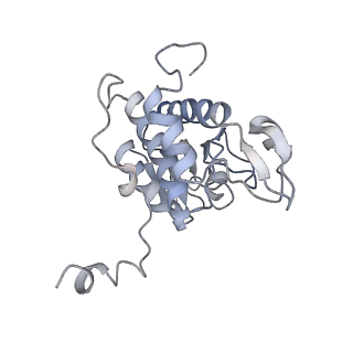 20256_6p5j_B_v1-4
Structure of a mammalian 80S ribosome in complex with the Israeli Acute Paralysis Virus IRES (Class 2)