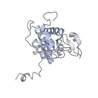 20256_6p5j_B_v1-5
Structure of a mammalian 80S ribosome in complex with the Israeli Acute Paralysis Virus IRES (Class 2)