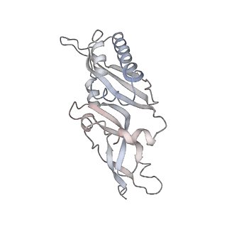20256_6p5j_C_v1-4
Structure of a mammalian 80S ribosome in complex with the Israeli Acute Paralysis Virus IRES (Class 2)