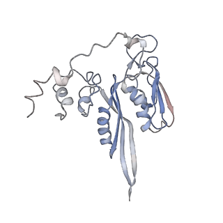 20256_6p5j_D_v1-4
Structure of a mammalian 80S ribosome in complex with the Israeli Acute Paralysis Virus IRES (Class 2)