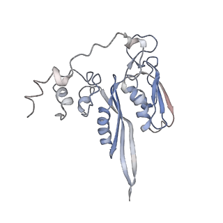 20256_6p5j_D_v1-5
Structure of a mammalian 80S ribosome in complex with the Israeli Acute Paralysis Virus IRES (Class 2)