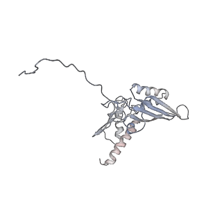 20256_6p5j_E_v1-4
Structure of a mammalian 80S ribosome in complex with the Israeli Acute Paralysis Virus IRES (Class 2)