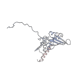 20256_6p5j_E_v1-5
Structure of a mammalian 80S ribosome in complex with the Israeli Acute Paralysis Virus IRES (Class 2)