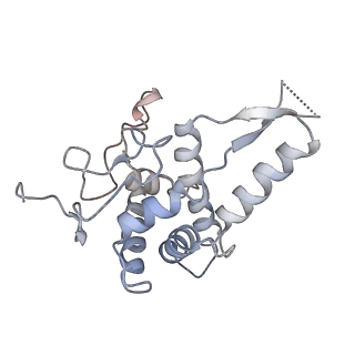 20256_6p5j_G_v1-4
Structure of a mammalian 80S ribosome in complex with the Israeli Acute Paralysis Virus IRES (Class 2)