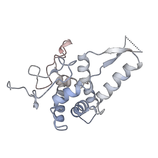 20256_6p5j_G_v1-5
Structure of a mammalian 80S ribosome in complex with the Israeli Acute Paralysis Virus IRES (Class 2)