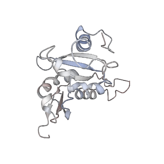 20256_6p5j_I_v1-4
Structure of a mammalian 80S ribosome in complex with the Israeli Acute Paralysis Virus IRES (Class 2)