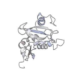 20256_6p5j_I_v1-5
Structure of a mammalian 80S ribosome in complex with the Israeli Acute Paralysis Virus IRES (Class 2)