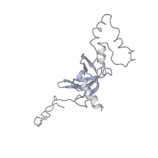 20256_6p5j_J_v1-4
Structure of a mammalian 80S ribosome in complex with the Israeli Acute Paralysis Virus IRES (Class 2)
