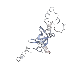 20256_6p5j_J_v1-5
Structure of a mammalian 80S ribosome in complex with the Israeli Acute Paralysis Virus IRES (Class 2)