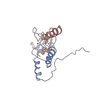 20256_6p5j_K_v1-4
Structure of a mammalian 80S ribosome in complex with the Israeli Acute Paralysis Virus IRES (Class 2)