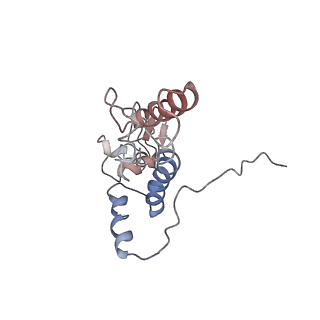 20256_6p5j_K_v1-5
Structure of a mammalian 80S ribosome in complex with the Israeli Acute Paralysis Virus IRES (Class 2)