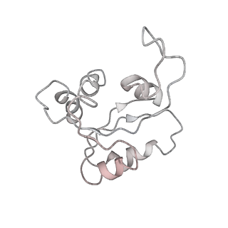 20256_6p5j_N_v1-5
Structure of a mammalian 80S ribosome in complex with the Israeli Acute Paralysis Virus IRES (Class 2)