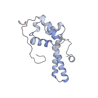 20256_6p5j_O_v1-4
Structure of a mammalian 80S ribosome in complex with the Israeli Acute Paralysis Virus IRES (Class 2)