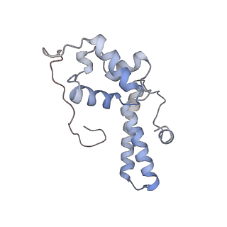 20256_6p5j_O_v1-5
Structure of a mammalian 80S ribosome in complex with the Israeli Acute Paralysis Virus IRES (Class 2)