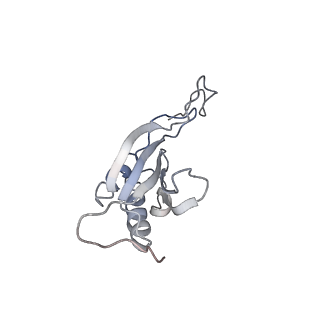 20256_6p5j_P_v1-4
Structure of a mammalian 80S ribosome in complex with the Israeli Acute Paralysis Virus IRES (Class 2)