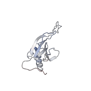 20256_6p5j_P_v1-5
Structure of a mammalian 80S ribosome in complex with the Israeli Acute Paralysis Virus IRES (Class 2)