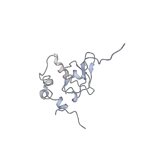 20256_6p5j_Q_v1-4
Structure of a mammalian 80S ribosome in complex with the Israeli Acute Paralysis Virus IRES (Class 2)