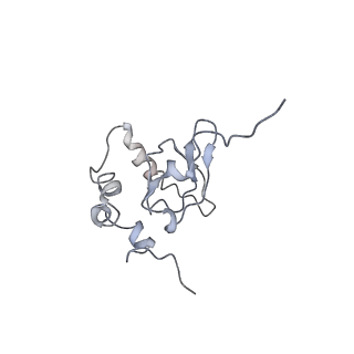 20256_6p5j_Q_v1-5
Structure of a mammalian 80S ribosome in complex with the Israeli Acute Paralysis Virus IRES (Class 2)