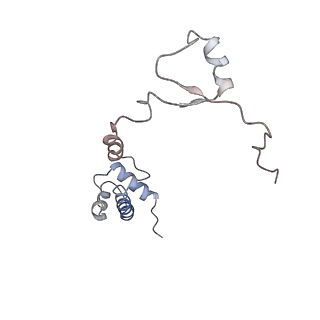 20256_6p5j_S_v1-4
Structure of a mammalian 80S ribosome in complex with the Israeli Acute Paralysis Virus IRES (Class 2)
