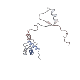 20256_6p5j_S_v1-5
Structure of a mammalian 80S ribosome in complex with the Israeli Acute Paralysis Virus IRES (Class 2)