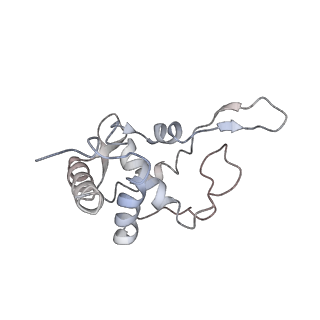 20256_6p5j_U_v1-4
Structure of a mammalian 80S ribosome in complex with the Israeli Acute Paralysis Virus IRES (Class 2)
