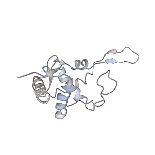 20256_6p5j_U_v1-5
Structure of a mammalian 80S ribosome in complex with the Israeli Acute Paralysis Virus IRES (Class 2)