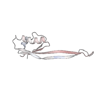 20256_6p5j_V_v1-5
Structure of a mammalian 80S ribosome in complex with the Israeli Acute Paralysis Virus IRES (Class 2)