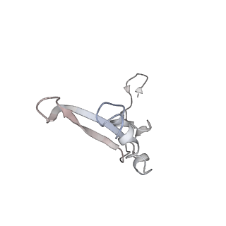 20256_6p5j_W_v1-5
Structure of a mammalian 80S ribosome in complex with the Israeli Acute Paralysis Virus IRES (Class 2)