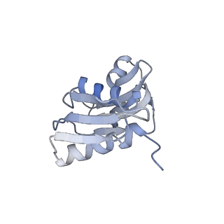 20256_6p5j_X_v1-4
Structure of a mammalian 80S ribosome in complex with the Israeli Acute Paralysis Virus IRES (Class 2)