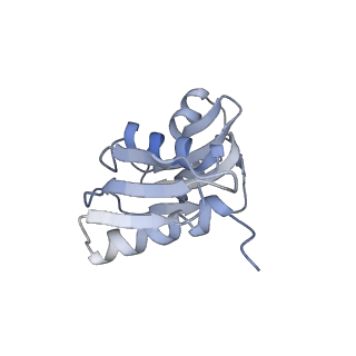 20256_6p5j_X_v1-5
Structure of a mammalian 80S ribosome in complex with the Israeli Acute Paralysis Virus IRES (Class 2)