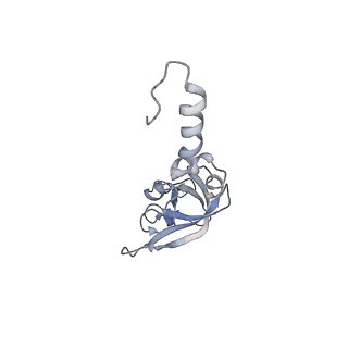 20256_6p5j_Y_v1-5
Structure of a mammalian 80S ribosome in complex with the Israeli Acute Paralysis Virus IRES (Class 2)