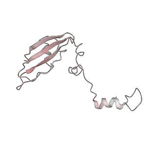 20256_6p5j_Z_v1-5
Structure of a mammalian 80S ribosome in complex with the Israeli Acute Paralysis Virus IRES (Class 2)