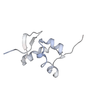 20256_6p5j_a_v1-5
Structure of a mammalian 80S ribosome in complex with the Israeli Acute Paralysis Virus IRES (Class 2)