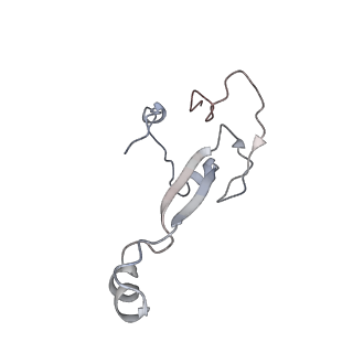 20256_6p5j_b_v1-5
Structure of a mammalian 80S ribosome in complex with the Israeli Acute Paralysis Virus IRES (Class 2)