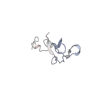 20256_6p5j_c_v1-5
Structure of a mammalian 80S ribosome in complex with the Israeli Acute Paralysis Virus IRES (Class 2)