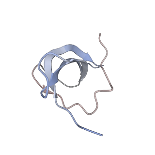 20256_6p5j_d_v1-5
Structure of a mammalian 80S ribosome in complex with the Israeli Acute Paralysis Virus IRES (Class 2)