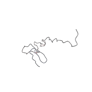 20256_6p5j_g_v1-5
Structure of a mammalian 80S ribosome in complex with the Israeli Acute Paralysis Virus IRES (Class 2)