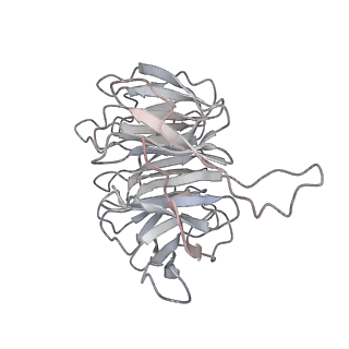 20256_6p5j_h_v1-5
Structure of a mammalian 80S ribosome in complex with the Israeli Acute Paralysis Virus IRES (Class 2)