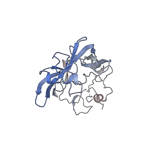 20257_6p5k_AA_v1-3
Structure of a mammalian 80S ribosome in complex with the Israeli Acute Paralysis Virus IRES (Class 3)